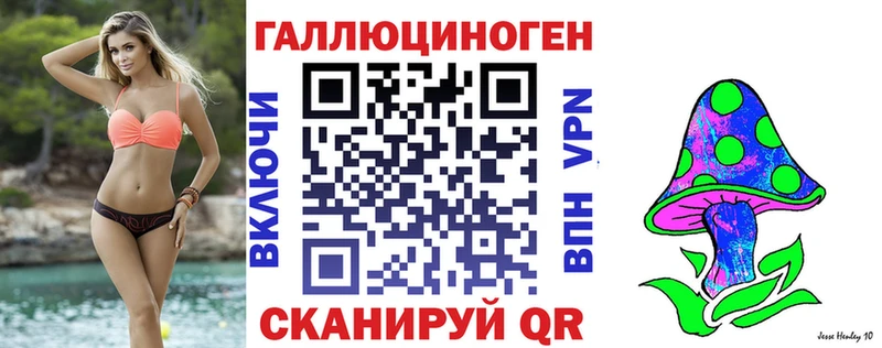 Псилоцибиновые грибы Psilocybe  Бодайбо 